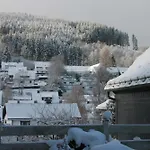 Ferienhaus Winterberg Fuer 12 Personen Sauna Garten Garage Hund